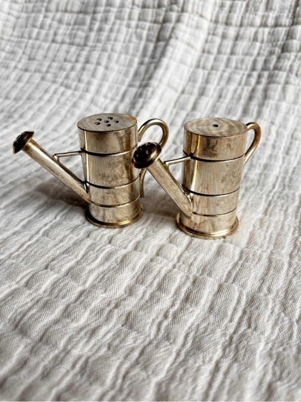 Watering Can Salt and Pepper Shaker Stainless Steel